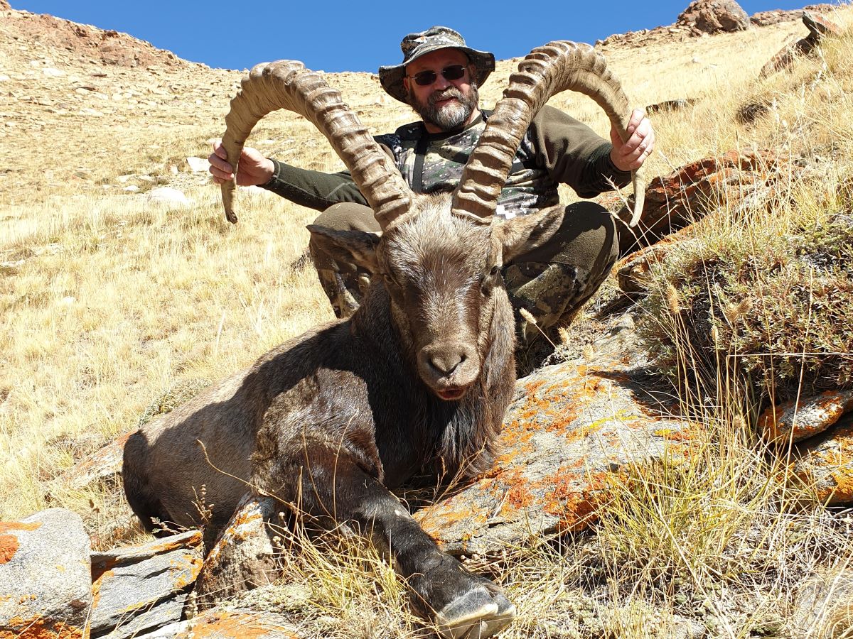 Mongolia - Ibex 2